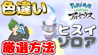 超効率のいいヒスイゾロア色違い厳選方法教えます！【Pokémon LEGENDS/レジェンズ アルセウス】