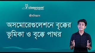 অসমোরেগুলেশনে বৃক্কের ভূমিকা ও বৃক্কে পাথর l Biology l SSC l ClassRoom