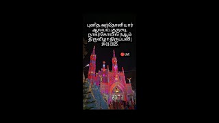 புனித அந்தோனியார் ஆலயம், குருசடி, நாகர்கோவில் | 8 ஆம் திருவிழா திருப்பலி | 16-01-2025.