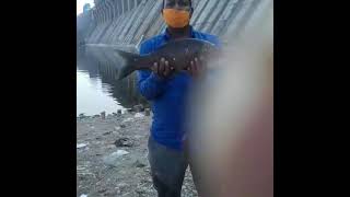 2kg katla fish#Aslam fishing