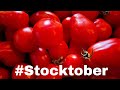 #Stocktober  Tomato Harvest & Fall Garden Tour