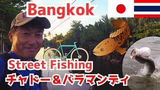 (Vol.06) Incredible ! Bangkok Chado fishing in Canal  and Barramundi fishing