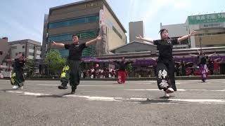 元気ハツラツ市２０１９　５月【総踊連合　神舞】①　フリーダム