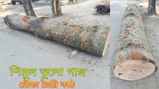 শিমুল তুলো গাছ। নৌকা তৈরি কাঠ। শিমুল গাছ। tree cutting। wood cutting #sultanfurniture