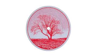 Computer Data - Abendrot