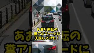 【イキリ運転】煽り運転の糞アルファードに天誅してみた！！