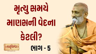 મૃત્યુ સમયે માણસ ની વેદના કેટલી ? Part -05 | Pu. Hariswarup Swami | Sadvidya TV