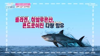 관절 건강을 위한 상어 연골에서 추출한 ‘콘드로이친’ TV CHOSUN 221111 방송 | [굿모닝 정보세상] 726회 | TV조선