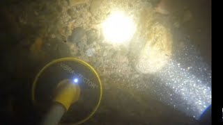 NIGHT DIVING WITH THE ORCATORCH D570-GL 2-in-1 Scuba Diver Light. Amazon Partner Review! (CREEPY)