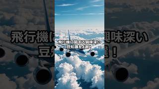 【飛行機】興味深い豆知識4選　#shorts #short #豆知識 #飛行機 #airplane