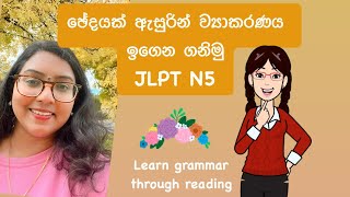 Learn grammar through reading ඡේදයක් ඇසුරින් ව්‍යාකරණය ඉගෙන ගනිමු❤️