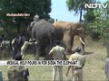 stuck at dam for over 40 days injured elephant sidda gets treatment