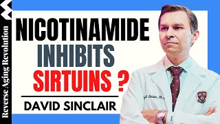 DAVID SINCLAIR “Nicotinamide Inhibit Sirtuins?” | Dr David Sinclair Interview Clips