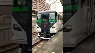 【GW臨】JR東日本E257系5000番台　特急新宿さざなみ館山行き　君津駅発車