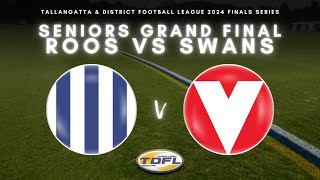 TDFL 2024 Seniors Grand Final