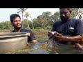 തനി നാടൻ കണമ്പ് പിടുത്തം mullet fish village fishing net_fishing kochi fishing_life