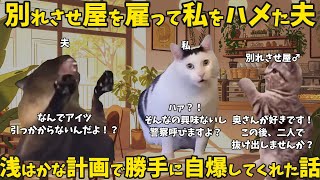 No.1の別れさせ屋に言い寄られたが逆に浮気夫がまさかの結末を迎えた話【猫ミーム】