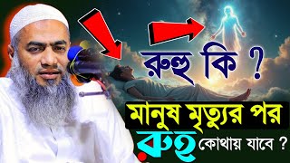 রুহ কী মানুষ মৃ/ত্যু/র পর রুহ কোথায় যাবে ! mufti mustakunnobi kasemi | মুফতি মুস্তাকুন্নবী কাসেমী