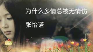 《为什么多情总被无情伤》- 张怡诺