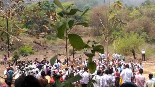 Dhamani Sangmeshwar Holi 2016 2