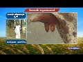 கால்நடை வளர்ப்பு successful farmer story