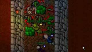 tibia orc fortress quest - postman quest