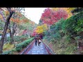 12 5 木 晩秋の京都紅葉散策🍁懐かしい奥嵯峨の古道を歩く【4k】茅葺き屋根に石畳の愛宕街道 嵯峨鳥居本 化野念仏寺 八体地蔵尊