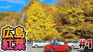 Experience The Ultimate Autumn Drive With Beautiful Fall Foliage! #1