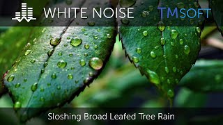 Sloshing Broad Leaf Tree Rain 10 Hour Sleep Sound - Black Screen