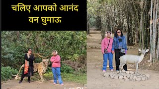 Anand Van. Uttarakhand's first urban forest.