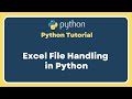 Part 16 | Selenium With Python Tutorial For Beginners | Read Excel Files in Python | Openpyxl