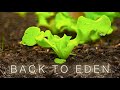 Back To Eden Gardening Documentary Film - How to Grow a Regenerative Organic Garden