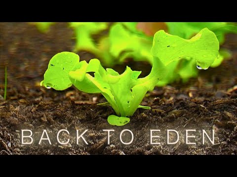 Back To Eden Gardening Documentary Film How To Grow A Regenerative