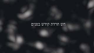 עמית חיו- האור של ירושלים