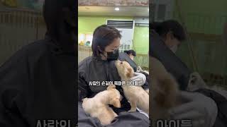 뉴파메팀 X 김원장, 유기견 보호소에서 마음 따뜻한 하루 🐶💛                     #사지말고입양하세요 #유기견봉사  #기부캠페인 #유기견센터 #작은사랑큰기적