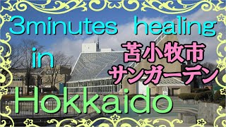 北海道　癒しの小空間（苫小牧市・サンガーデン）3minutes  healing  in  Hokkaido