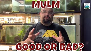 MULM! Good or Bad?