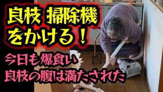 【関慎吾】 親子でカレーうどん！めった色々食べまくる🍴良枝 掃除機をかける！20240126