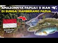 MISTERI PAPUA!! 9 IKAN YANG ADA DI SUNGAI MAMBERAMO INDONESIA, URUTAN KE-5 BIKIN TERKEJUT