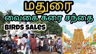 Madurai Sunday's Market in Tamil / மதுரை ஞாயிற்று கிழமை சந்தையில் பறவைகள் விற்பனை - மக்கள் கூட்டம்