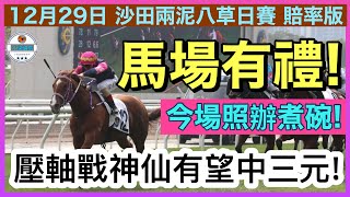 【小梁論馬】12月29日沙田兩泥八草日賽 | 馬場有禮! | 上場贏得輕鬆今場照辦煮碗 | 壓軸戰神仙有望中三元! | 賽馬KOL-小梁@KleagueworkshopKen