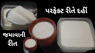 પરફેક્ટ રીતે દહીં જમાવાની રીત।Perfect Dahi jamavani rit।Perfect curd recipe।