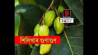 ১০০ টাৰো অধিক ৰোগ ধ্বংস কৰা শিলিখাৰ গুণাগুণ।