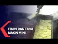 Harga Kedelai Mahal Paksa Produsen Kecil Perkecil Ukuran Tempe dan Tahu