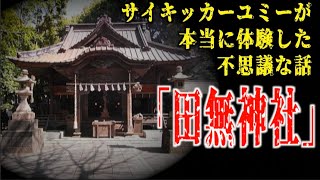 5柱の龍神をお祀りする全国屈指の龍のパワースポット田無神社。そこで視えたものとは！？【霊能力者ユミーの本当に体験した不思議な話】