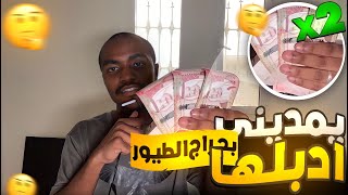 في حراج الطيور تدبيل٤٠٠﷼الى****💵💰#1