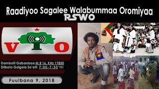 RSWO - Fuulbana 9, 2018: Walloofi Raayyaa'tti Ajjeechaafi Buqqa'iinsi Itti-fufee jiraachuu