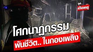 พันชีวิตในกองเพลิง เสียงจากสัตว์ไฟไหม้.. จตุจักร งูตายร้านเดียว 400 ตัว นกเกลี้ยง : Khaosod - ข่าวสด