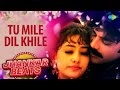 Tu Mile Dil Khile | Alka Yagnik | Criminal | Hero And King Of Jhankar Studio