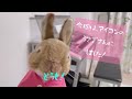 【アニメspy×family】souvenir スーベニア bump of chicken エレクトーン演奏